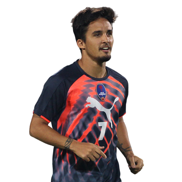 Vinicius Ferreira De Souza