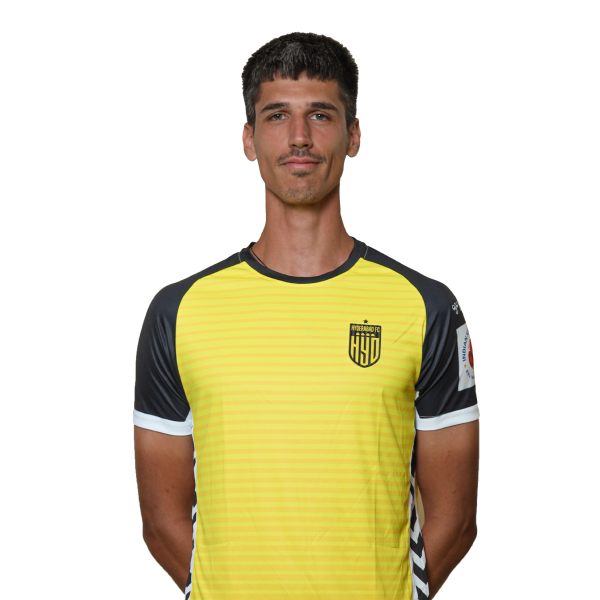 Stefan Sapic