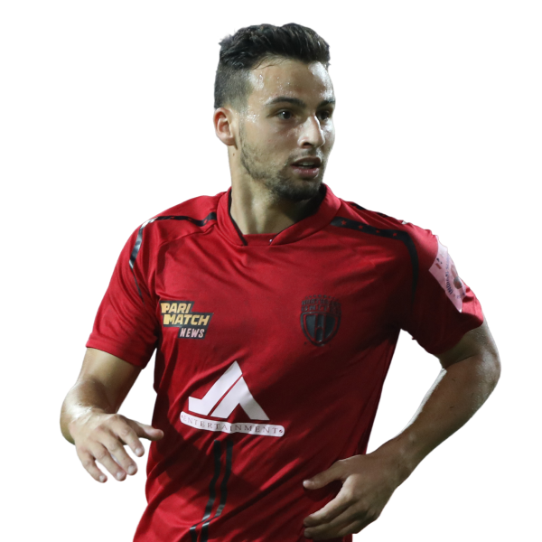 Luis Miguel Vieira Babo Machado